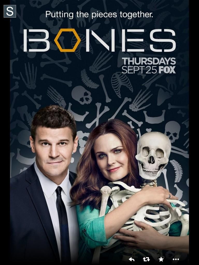 Bones saison 10 poster