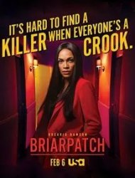 Briarpatch saison 1 poster