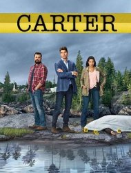 Carter saison 1 poster