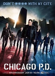 Chicago PD saison 1 poster