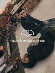 Flatbush Misdemeanors saison 1 poster