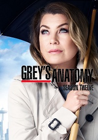 Grey's Anatomy saison 12 poster