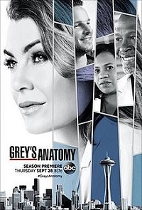 Grey's Anatomy saison 14 poster