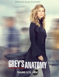 Grey's Anatomy saison 16 poster