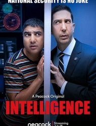 Intelligence saison 1 poster