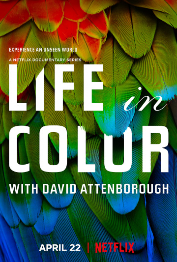 La Vie en couleurs avec David Attenborough saison 1 poster