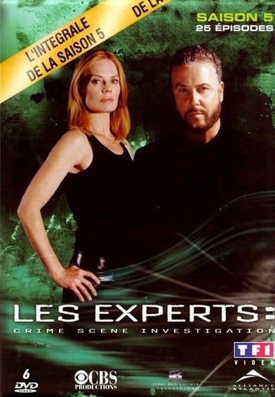 Les Experts saison 5 poster