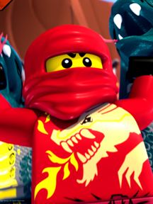 Ninjago saison 4 poster