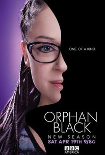 Orphan Black saison 2 poster