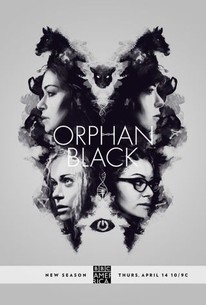 Orphan Black saison 4 poster