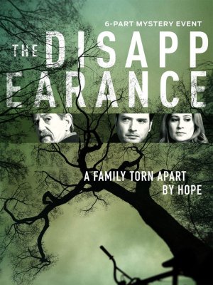 The Disappearance saison 1 poster