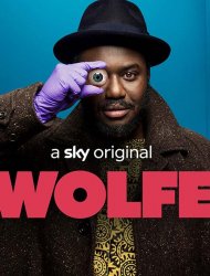 Wolfe saison 1 poster