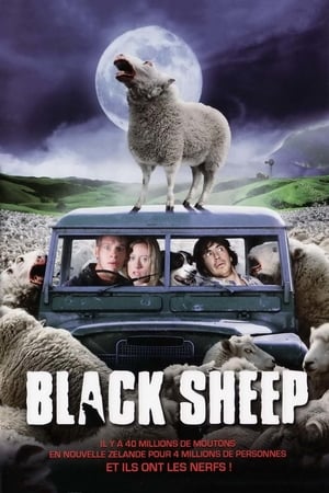 Black Sheep