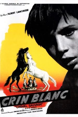 Crin blanc: Le cheval sauvage